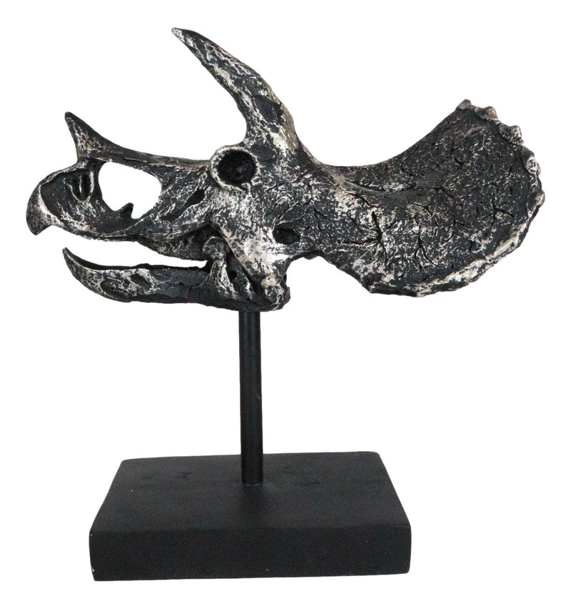 Jurassic '3 Horns' Triceratops Dinosaur Fossil Skeleton Statue With Stand 9"L