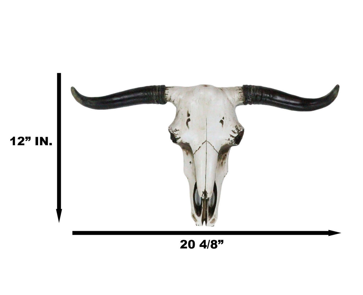 Rustic Western Longhorn Bull Cow Steer Head Skull Wall Decor Plaque 20.5"L