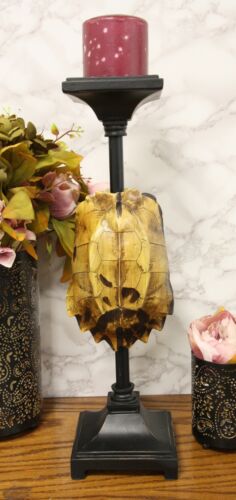 Large Nautical Reptile Exotic Turtle Shell Pillar Candle Holder Statue 17"High