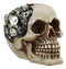 Ebros Steampunk Cyborg Protruding Gearwork Human Skull Statue Sci Fi Clockwork Gear Design Skeleton Cranium Figurine