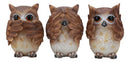 Ebros See Hear Speak No Evil Wise Owls Decor Set Wisdom Of The Woods Owl Hoot