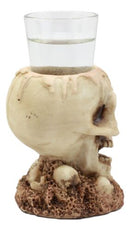 Twin Gothic Ossuary Graveyard Melting Skull Shot Glass Holder Figurine Set of 2