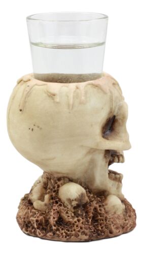 Twin Gothic Ossuary Graveyard Melting Skull Shot Glass Holder Figurine Set of 2