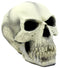 Ebros Gift Imploding Vampire Skull Statue 8"L Disintegrating Dracula Skeleton Head Figurine