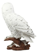 Mystical White Snow Owl Bird Statue 12.25"Tall Nocturnal Bird Wildlife Owl Decor