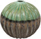 Ceramic Southwestern Contemporary Golden Barrel Bulbous Cactus Floral Vase Decor
