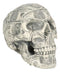 Fortune Lottery Benjamin Franklins Bank C-Note Money Bill Prints Skull Figurine