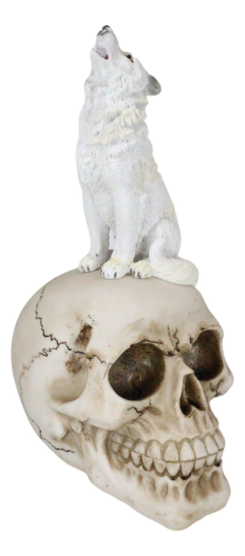 Gothic Full Moon Howling White Wolf Sitting On Graveyard Macabre Skull Figurine