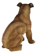 Large 16"H Adorable Realistic Sitting Fawn Boxer Muscle Dog Decorative Statue