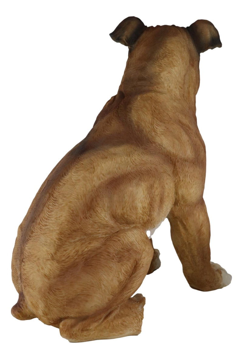 Large 16"H Adorable Realistic Sitting Fawn Boxer Muscle Dog Decorative Statue