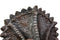 Ebros Jurassic Triceratops Wall Head Large 15.25" H Hanging Wall Decor Plaque