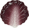 Ebros 12"W Ceramic Red Lettuce Shaped Serving Plate or Dish Platter (1 PC) - Ebros Gift