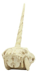 Ebros Fossil Unicorn Skull Rare Mythical Phantom Creature Skeleton Figurine