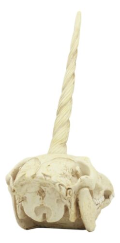 Ebros Fossil Unicorn Skull Rare Mythical Phantom Creature Skeleton Figurine