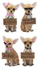 Ebros Set of 4 Adorable Tea Cup Chihuahua Dog Holding Humorous Signs Small Figurines 4.25"Tall