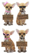 Ebros Set of 4 Adorable Tea Cup Chihuahua Dog Holding Humorous Signs Small Figurines 4.25"Tall