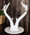 Contemporary Chic Rustic White Double Buck Deer Stag Antlers Jewelry Tree Holder