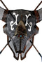 Western Dreamcatcher Indian Warpath Bull Bison Skull Crossed Arrows Wall Decor