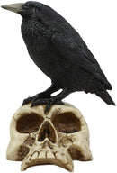 Ebros Gothic Raven Perching On Skull Statue 7.25" High Crow Scavenger Figurine