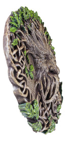 Ebros Celtic Tree Of Life Oak Tree Spirit Ent Greenman God Wall Decor Plaque 12"D