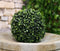 Set Of 3 Home And Garden 9"D Round Green Artificial Faux Boxwood Topiary Ball