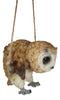 Lifelike Brown Barn Owl Baby Owlet On Branch Swing Hanger Wall Decor Figurine