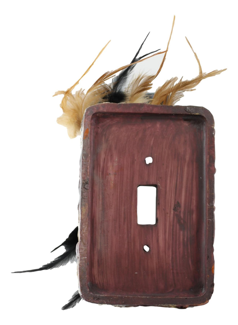 Set of 2 Western Indian Dreamcatcher Straws Feathers Single Toggle Switch Plates