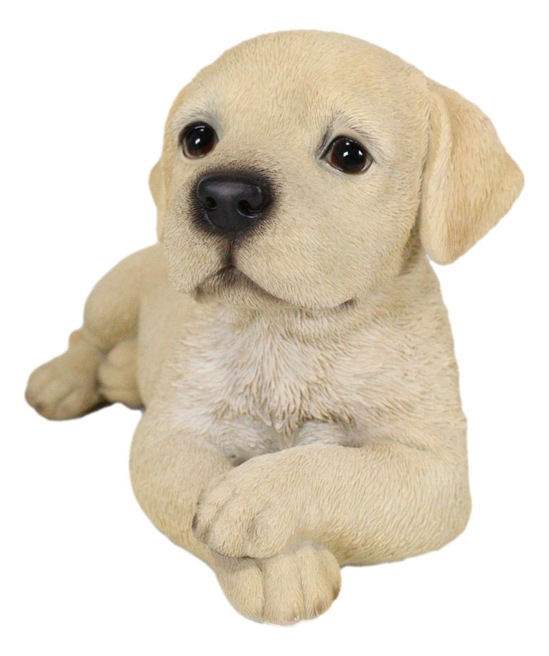 Lifelike Adorable Labrador Puppy Dog Lying On Belly With Crossed Arms Figurine