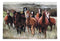 Rustic Western Running Horses Herd Wood Framed Canvas Print 31" X 21" Wall Art