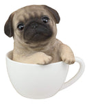 Realistic Adorable Pug Dog Teacup Statue 5.5" Tall Pet Pal Puppy Pugs Figurine