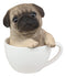 Realistic Adorable Pug Dog Teacup Statue 5.5" Tall Pet Pal Puppy Pugs Figurine