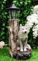 Woodlands Lone Gray Wolf Greetings Figurine Solar LED Light Lantern Welcome Lamp