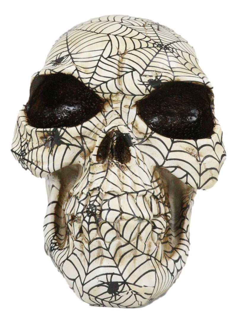 Creepy Crawler Tarantula Arachnid Spider With Cobwebs Skull Figurine Decor