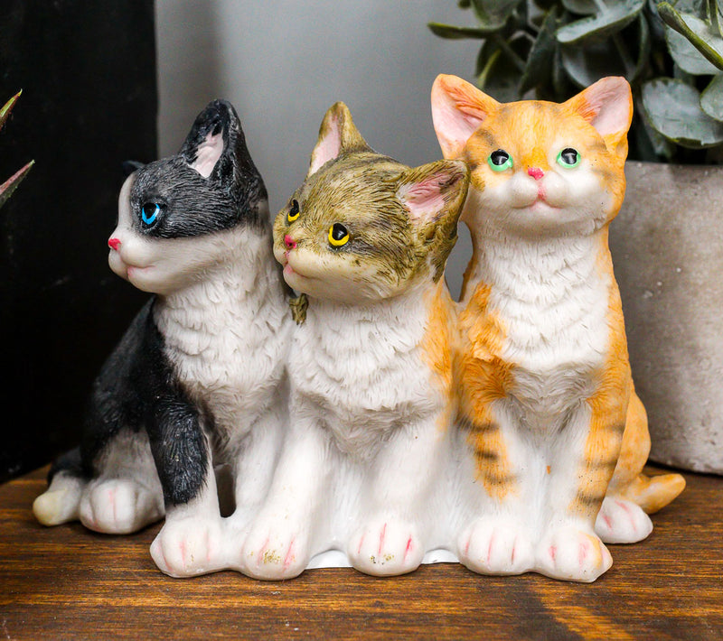 Ebros Lifelike Trio Shorthair Kittens Cats Sitting Side by Side Figurine 5" Long