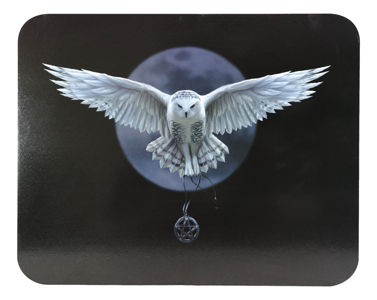 Anne Stokes Awake Your Magic Owl Pentagram Ouija Spirit Board Game W/ Planchette
