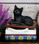 Wicca Mystical Black Cat Sitting On Book Of Spells Stack Decorative Jewelry Box