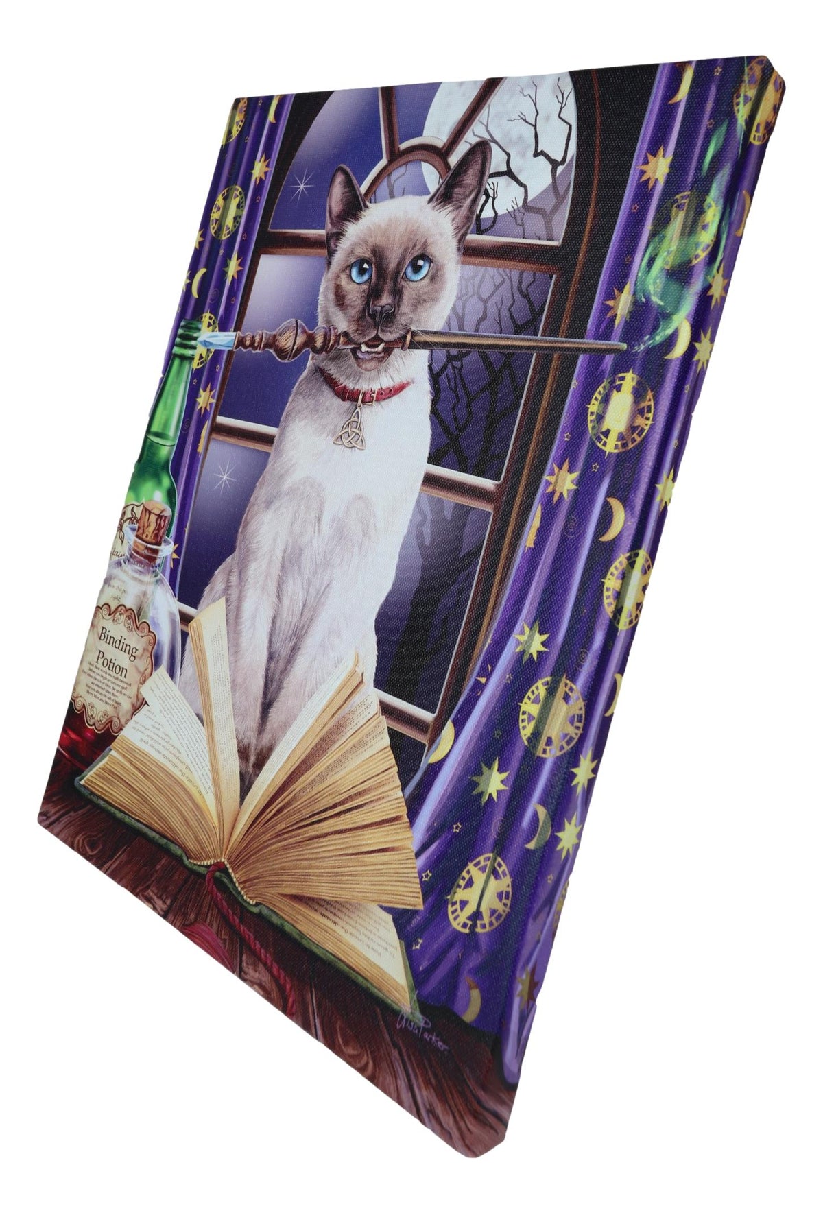 Witch Hocus Pocus Magic Wand Cat With Spellbook Wood Framed Canvas Wall Decor - Ebros Gift