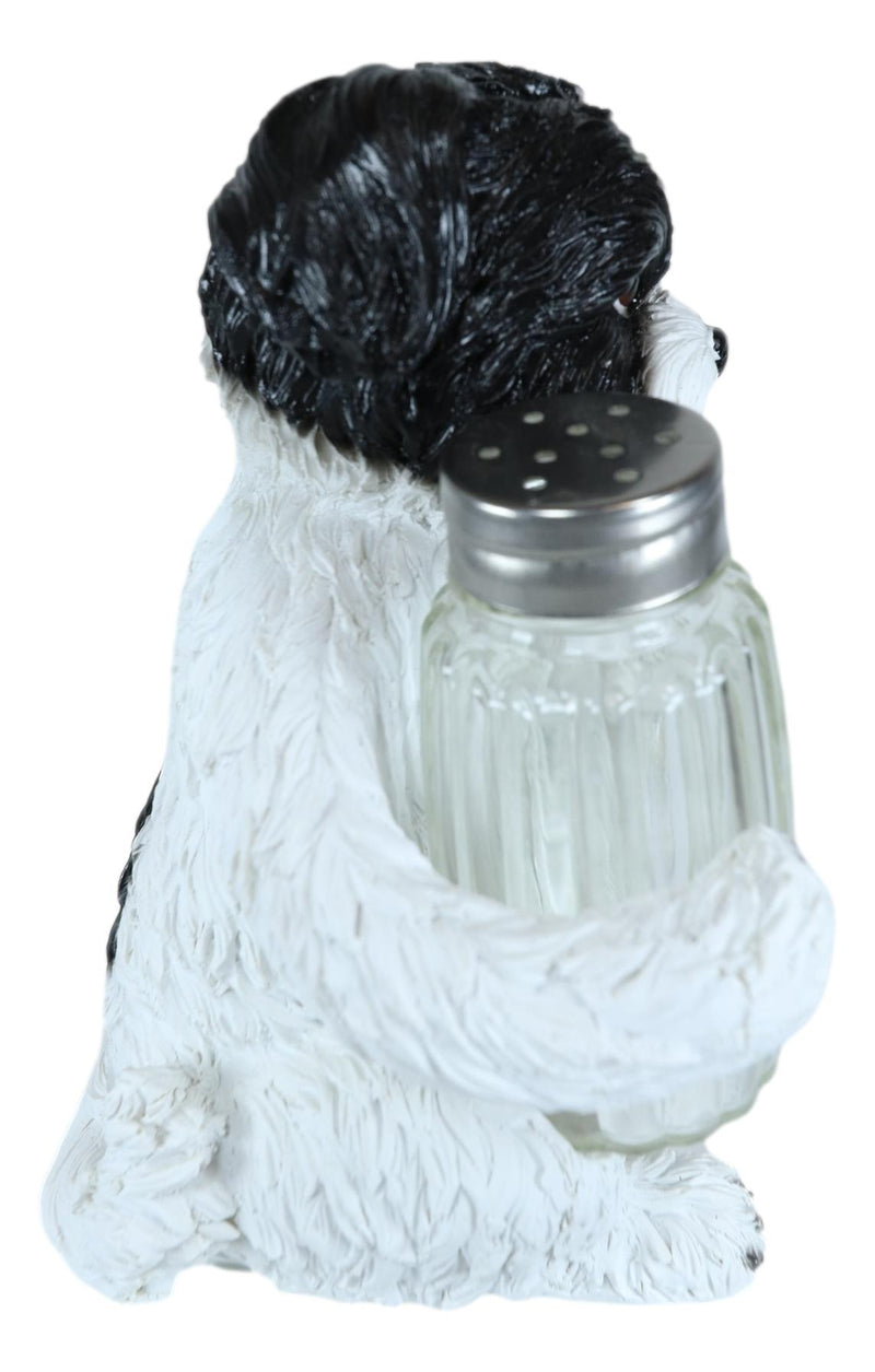 Ebros Hugging Pooch Shih Tzu Glass Salt Pepper Shakers Holder Figurine 6"Tall