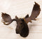 Western Rustic Wildlife Baron Bull Moose Elk Deer Taxidermy Wall Decor Plaque