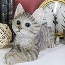 Resting Feline Gray Tabby Cat Kitten Figurine With Realistic Glass Eyes Decor