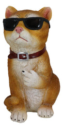 No Pussies Here! Tabby Cat With Shades Flipping The Bird Middle Finger Figurine