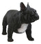 Cute Large Lifelike Black French Bulldog Statue With Glass Eyes 19.5"Long Decor