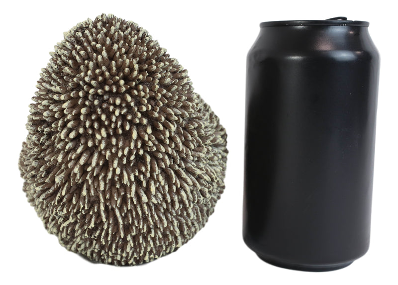 Lifelike Realistic Spinal Mammal Baby Hedgehog Lying On Back Decorative Figurine