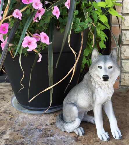 Majestic Mythical Sitting Gray Alpha Wolf Statue Figurine Timberwolves Decor