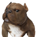 Ebros Animal World Realistic American Bully Dog Home Decor Resin Figurine 18"L