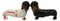 Ebros Doxie Collection King Of Rock And Roll Dachshund Dogs Salt Pepper Shakers Set