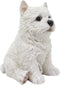 Ebros Sitting West Highland Terrier White Westie Puppy Dog Statue 6.75"High