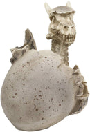 Ebros 5.5" Tall Skeleton Bone Wyrmling Dragon Hatchling From Egg Statue Figurine - Ebros Gift