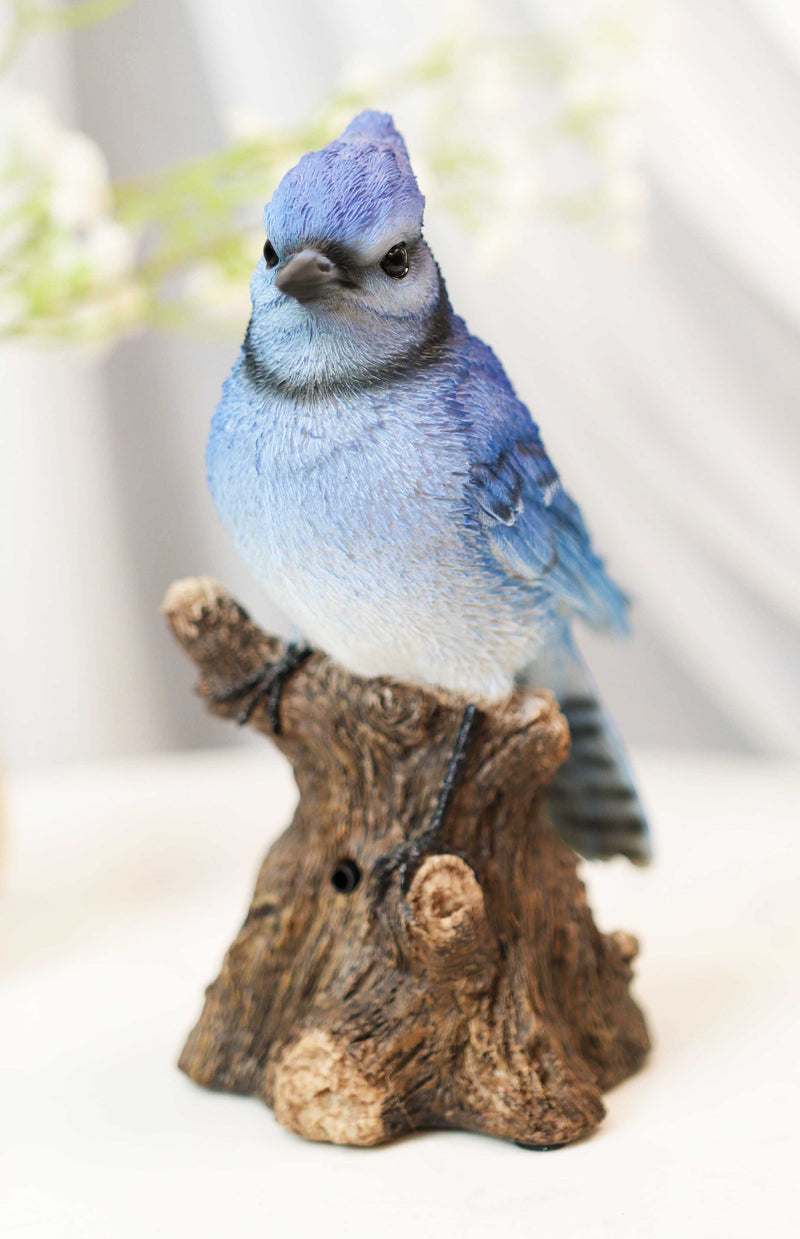 Pretty Blue Jay Perching on Tree Stump With Motion Activated Bird Sound Figurine