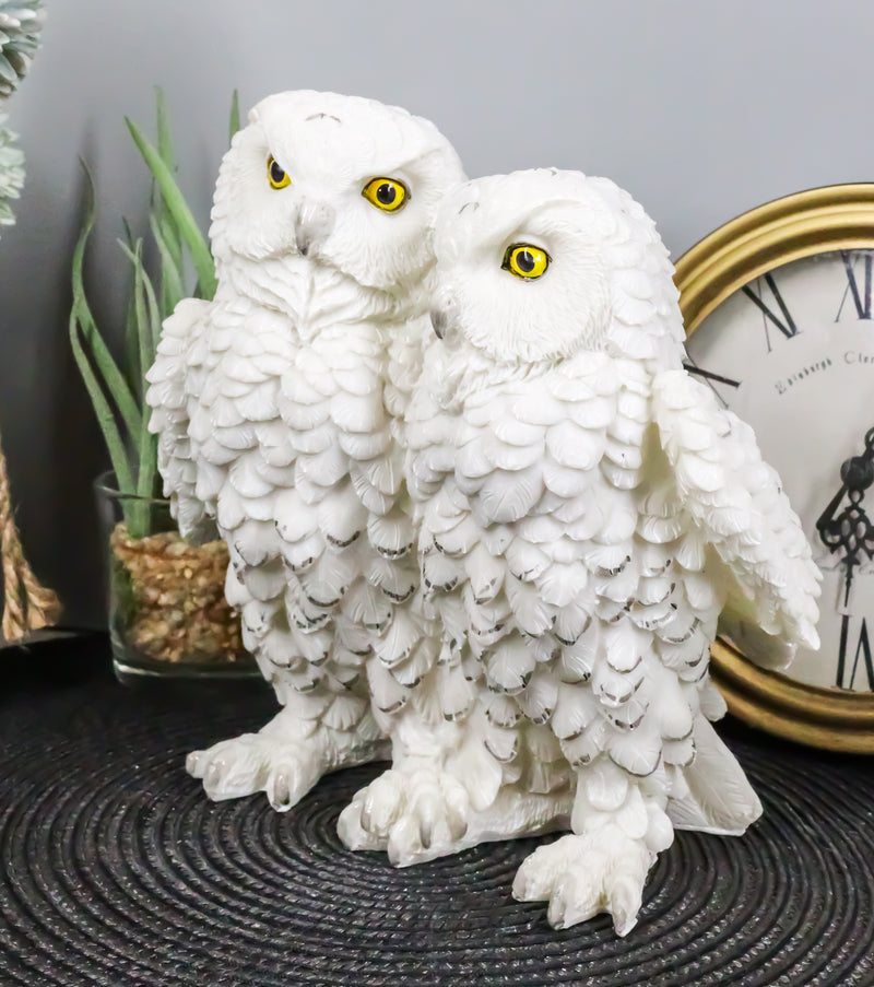 Ebros Mystical Two Snow White Owls Couple Statue 7.25"Tall Whimsical Figurine